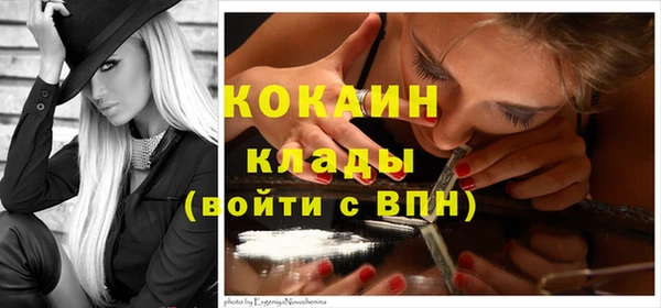 ГАЛЛЮЦИНОГЕННЫЕ ГРИБЫ Вязники