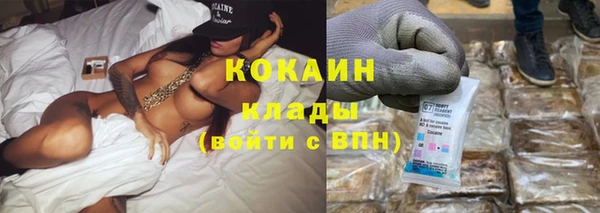 ГАЛЛЮЦИНОГЕННЫЕ ГРИБЫ Вязники