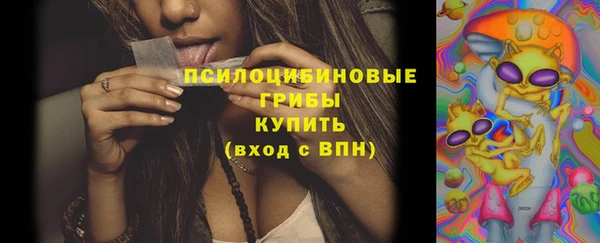 2c-b Мегион