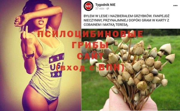 прущие крисы Вяземский