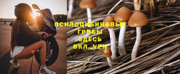 таблы Медногорск