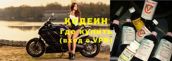 ГАЛЛЮЦИНОГЕННЫЕ ГРИБЫ Вязники