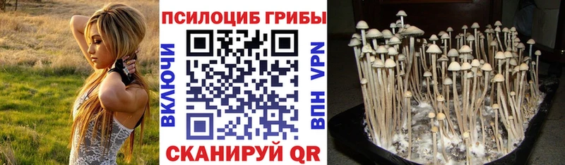 Псилоцибиновые грибы прущие грибы  где купить наркотик  Комсомольск 